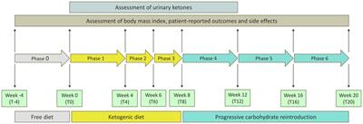 Efficacy, safety and tolerability of very low-calorie ketogenic diet in obese women with fibromyalgia: a pilot interventional study